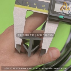 Ron cao su chu T 25x21x3