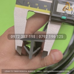 Ron cao su chu T 25x21x3