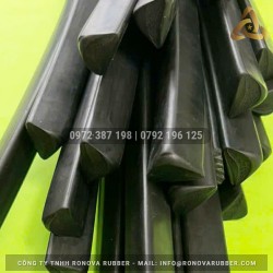 Ron cao su NBR 23x17x17