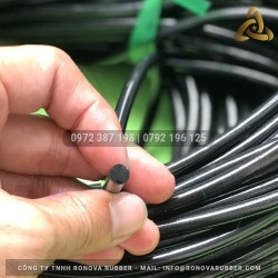 Ron cao su NBR phi 6