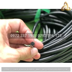 Ron cao su NBR phi 7