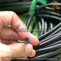 Ron cao su NBR phi 7