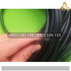 Ron cao su NBR phi 8