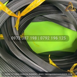 Ron cao su ống cống TG 19x25 D2400