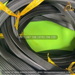 Ron cao su ống cống TG 19x25 D2400 Ron cao su ống cống TG 19x25 D2400