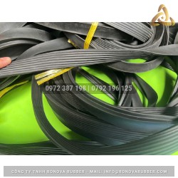 Ron cao su ống cống TG 19x25 D300