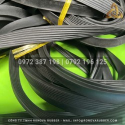 Ron cao su ống cống TG 19x25 D300