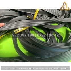 Ron cao su ống cống TG 19x25 D300