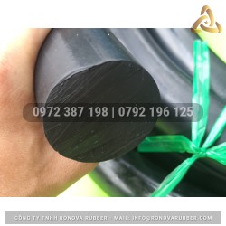 Ron cao su EPDM phi 50