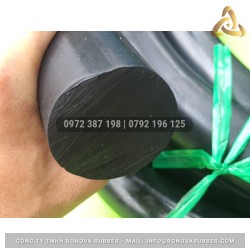 Ron cao su EPDM phi 50