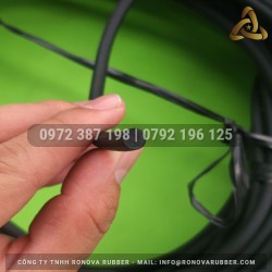 Ron cao su thường phi 6