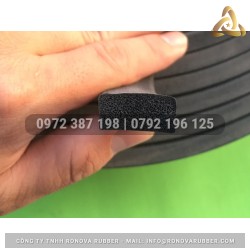 Ron cao su xốp 10x20