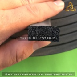 Ron cao su xốp 10x20 Ron cao su xốp 10x20