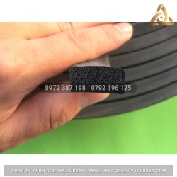 Ron cao su xốp 10x20