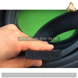 Ron cao su xốp 10x40