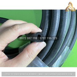 Ron cao su xốp chữ D 10x12x3