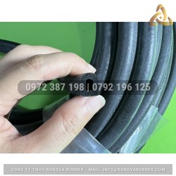 Ron cao su xốp chữ D 10x12x3