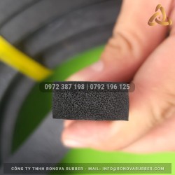 Ron cao su xốp EPDM 10x20