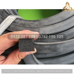 Ron cao su xốp EPDM 20x20