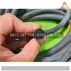 Ron cao su xốp EPDM phi 12