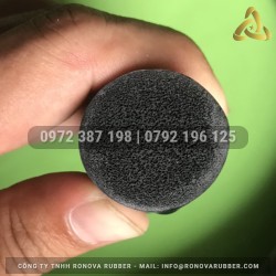 Ron cao su xốp phi 25