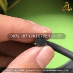 Ron cao su xốp phi 6