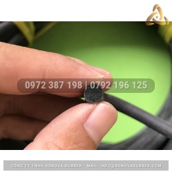 Ron cao su xốp phi 6