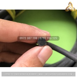 Ron cao su xốp phi 6